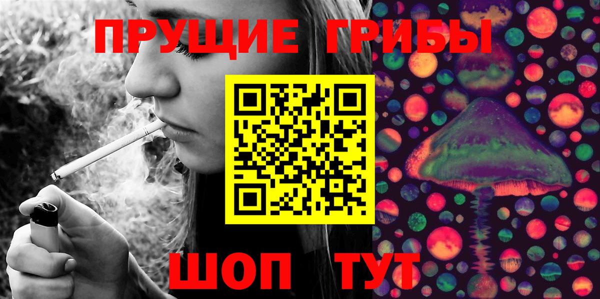 где купить   Галлюциногенные грибы Magic Shrooms  Канаш  Вход с VPN  Псилоцибиновые грибы Psilocybine cubensis 